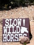 SLOW - WILD HORSES
