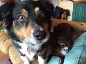 CooperandSaraoncouch