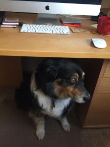 cooperunderdesk