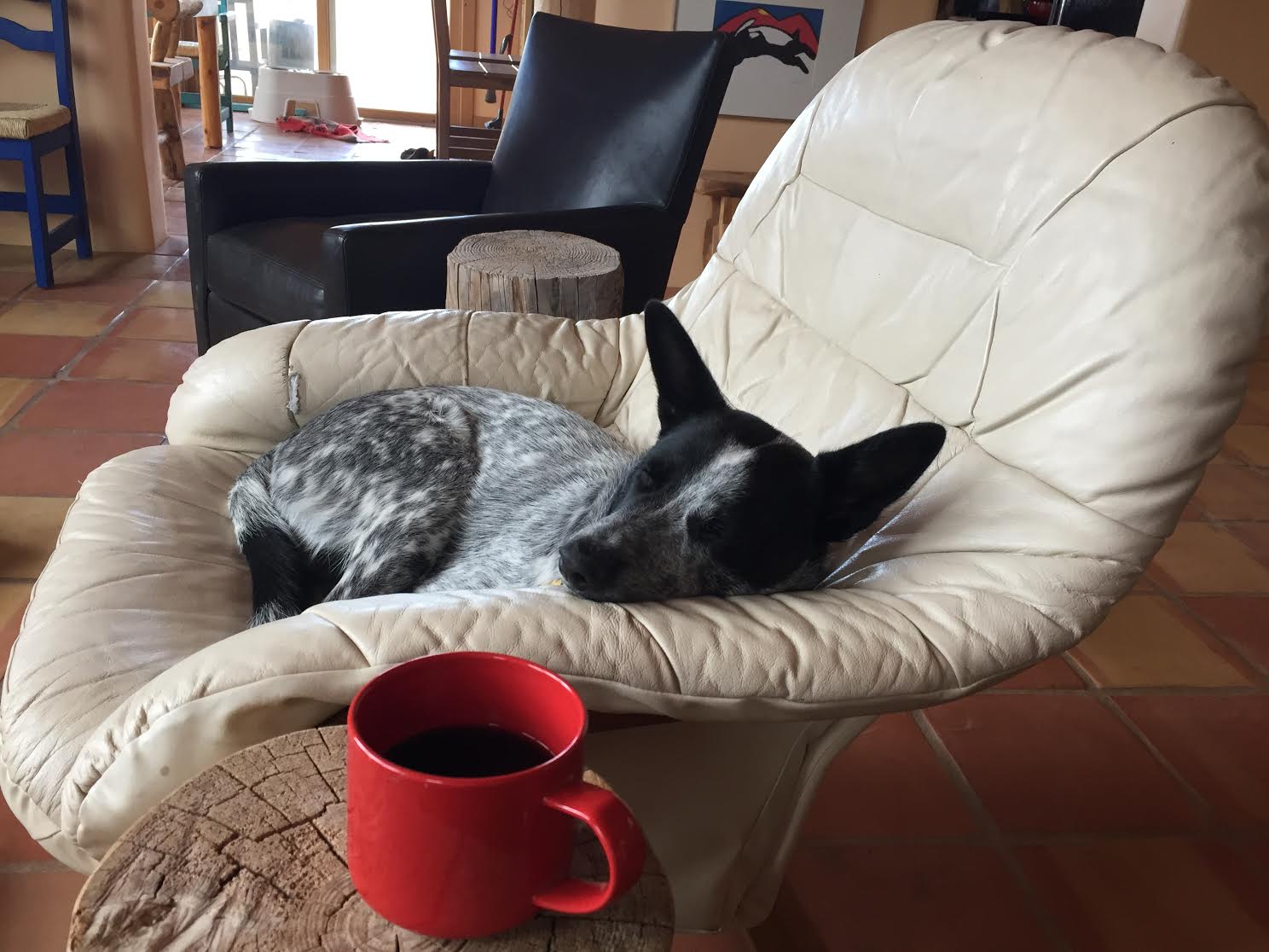 cowboynappinginchair