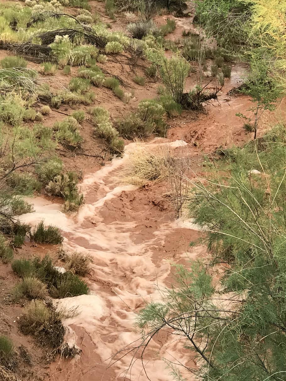 creekrunning
