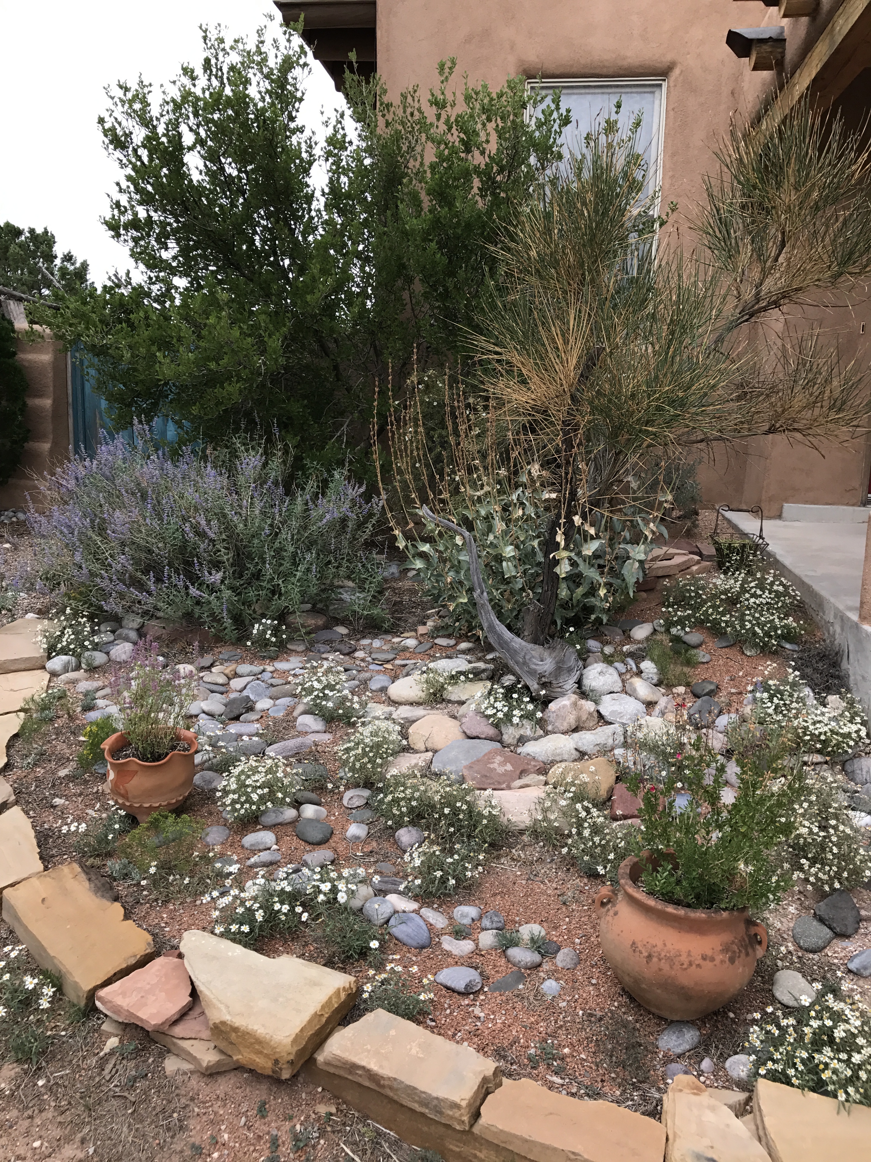 frontlandscaping