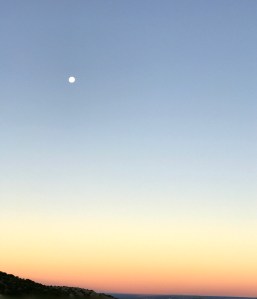 IMG_0243