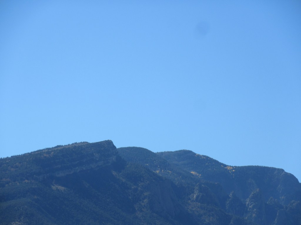 IMG_0645