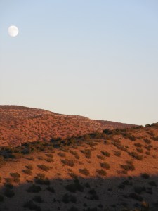 IMG_4397