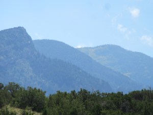 IMG_4633