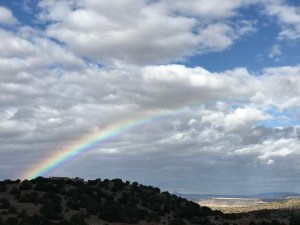 IMG_5254