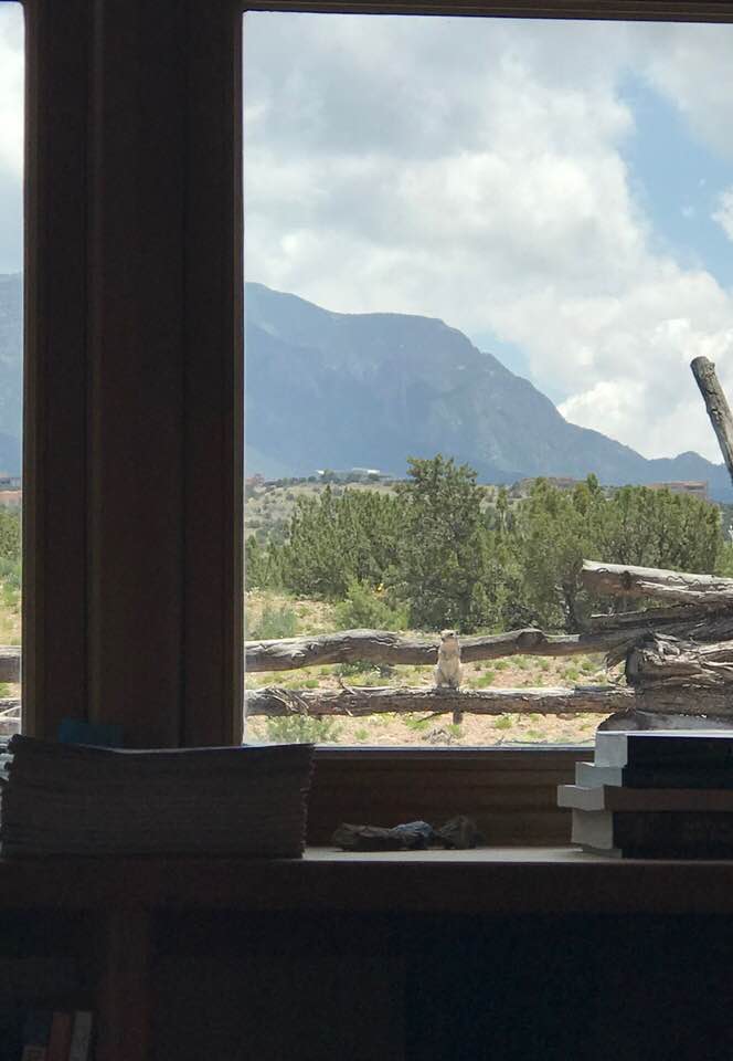 61567221_2402991373315500_8109068163754229760_n