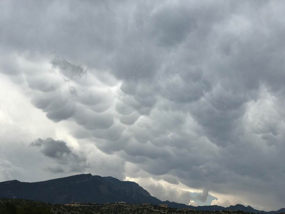 61998472_2403056869975617_9189036079720693760_n