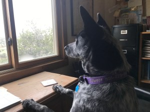 59025310011__EBE6FBB8-1D9D-4291-9EA5-4FD9B7F79C49 2