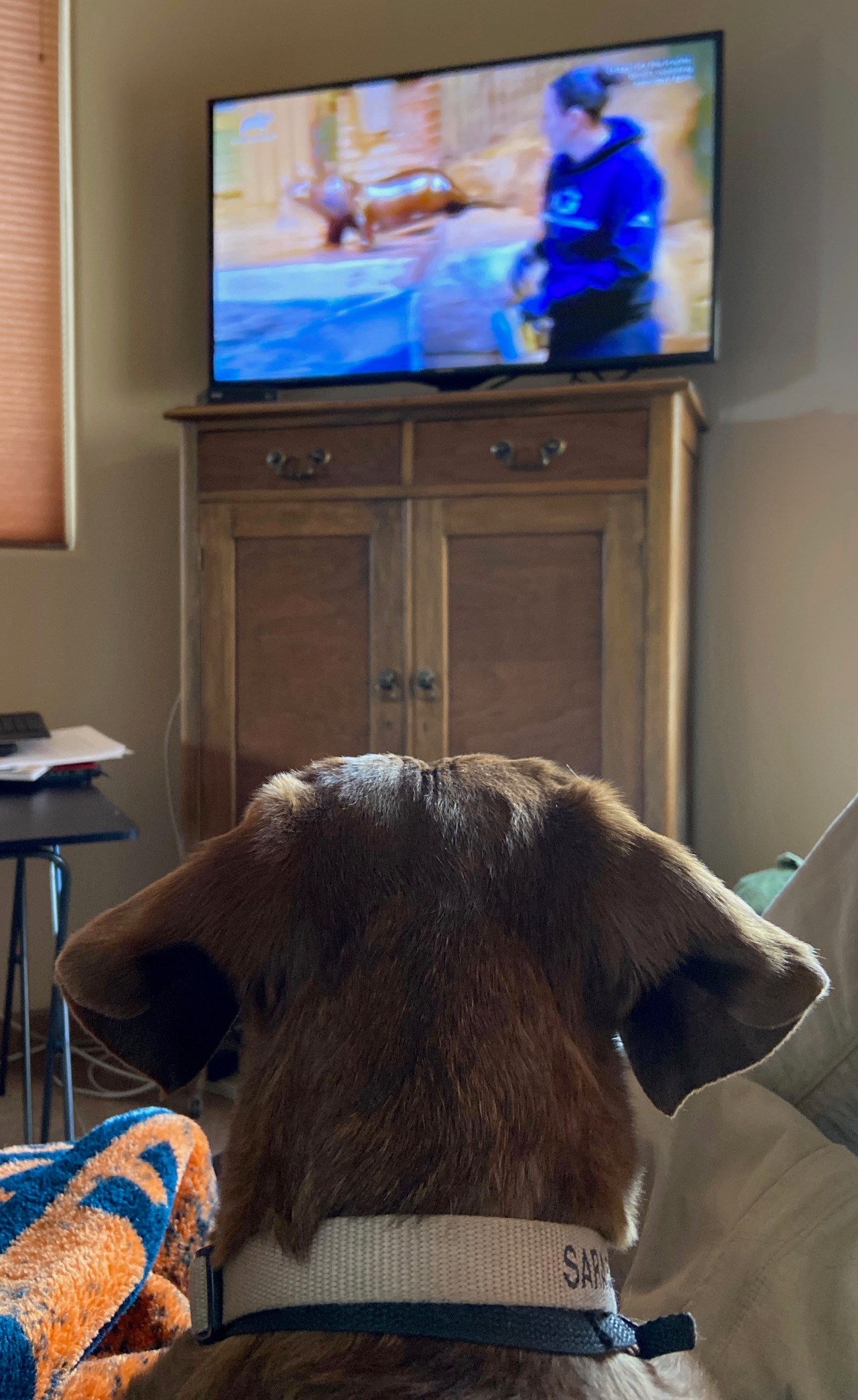 60842517763__1F4120C1-0B6C-4333-8913-D08EDD3CF056