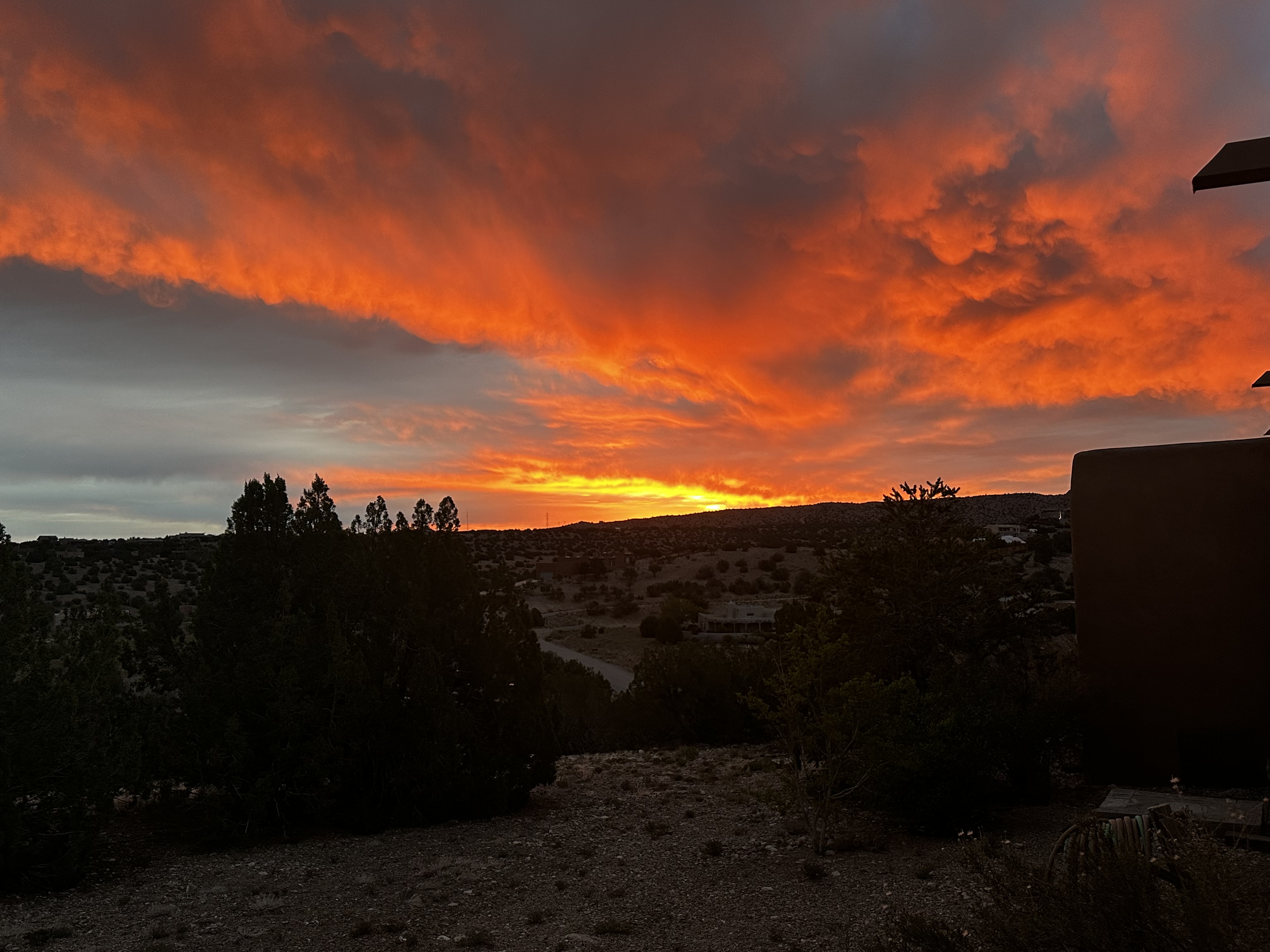 Morning Rach Sunday morning | dream ranch